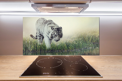 Cooker splashback White Tiger