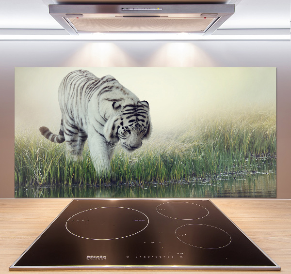 Cooker splashback White Tiger