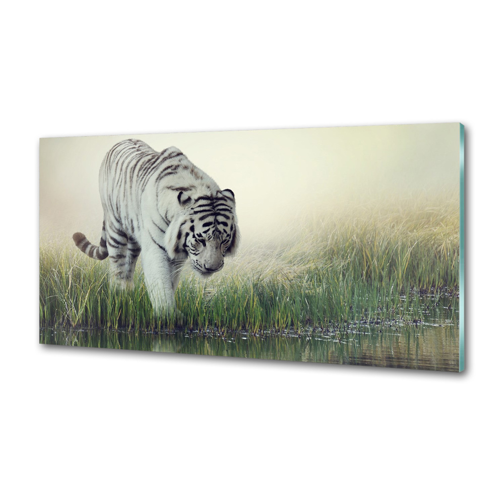 Cooker splashback White Tiger