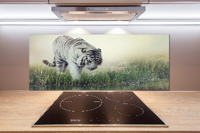 Cooker splashback White Tiger