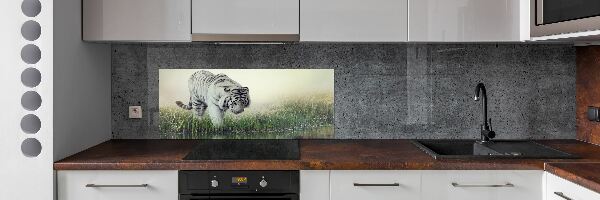 Cooker splashback White Tiger