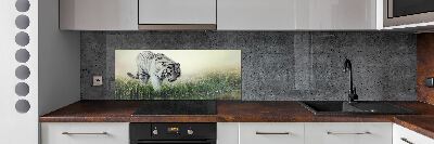 Cooker splashback White Tiger