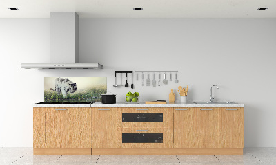 Cooker splashback White Tiger