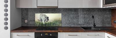 Cooker splashback White Tiger