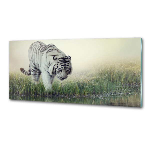 Cooker splashback White Tiger