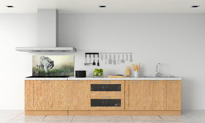 Cooker splashback White Tiger