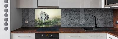 Cooker splashback White Tiger