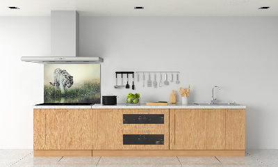 Cooker splashback White Tiger