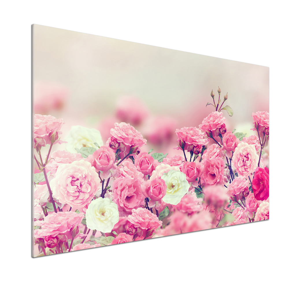 Kitchen wall panels Wild rose flowers