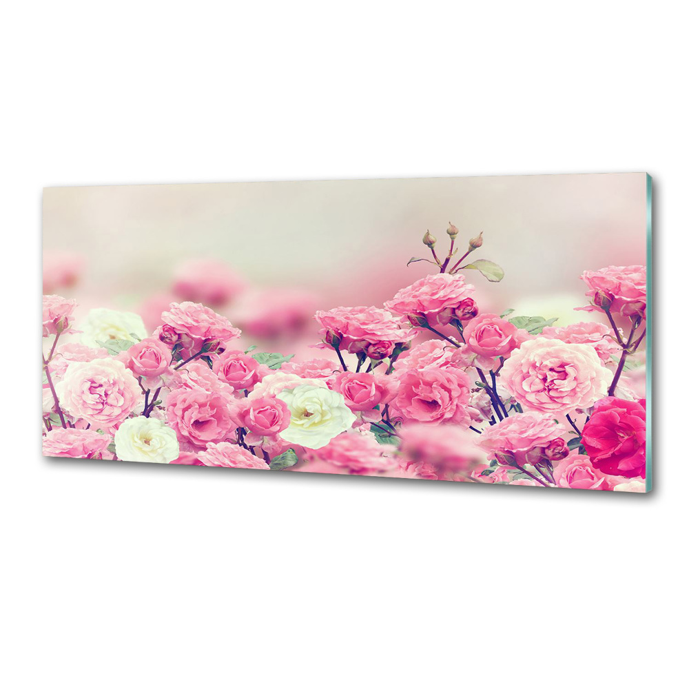 Kitchen wall panels Wild rose flowers