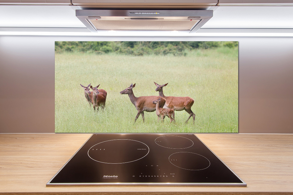 Cooker splashback Deer with young