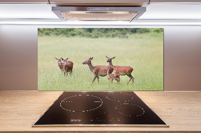 Cooker splashback Deer with young