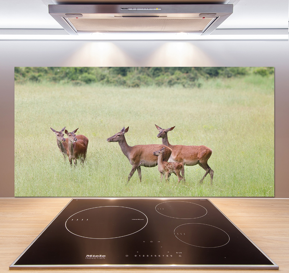 Cooker splashback Deer with young