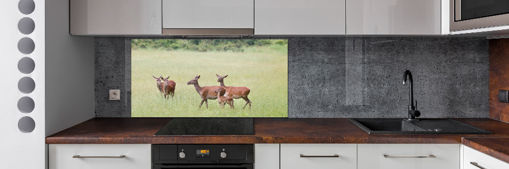 Cooker splashback Deer with young