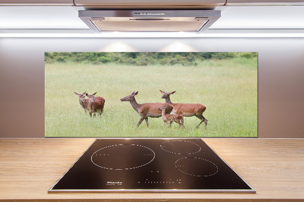 Cooker splashback Deer with young