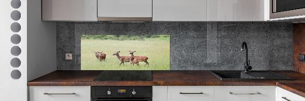 Cooker splashback Deer with young