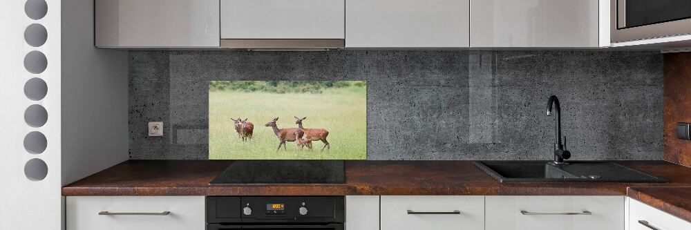 Cooker splashback Deer with young