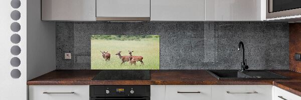 Cooker splashback Deer with young