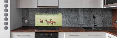 Cooker splashback Deer with young