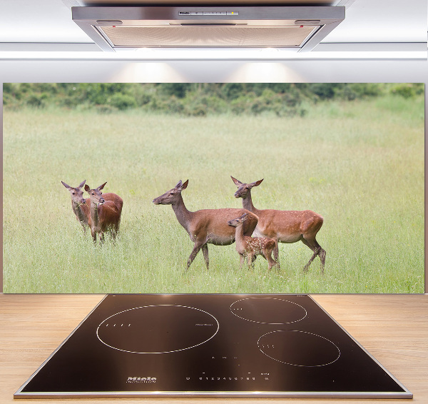 Cooker splashback Deer with young