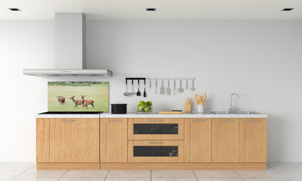 Cooker splashback Deer with young