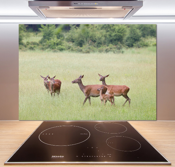 Cooker splashback Deer with young