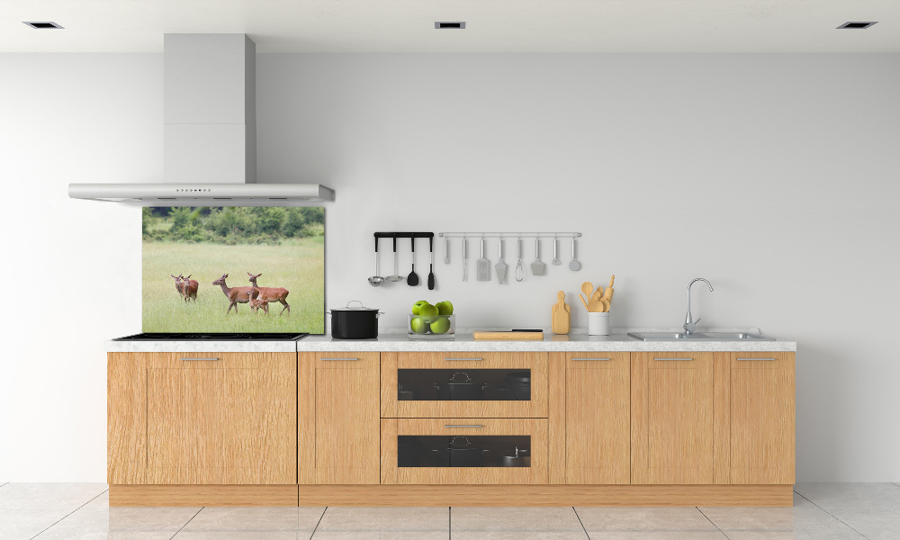 Cooker splashback Deer with young