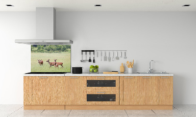 Cooker splashback Deer with young