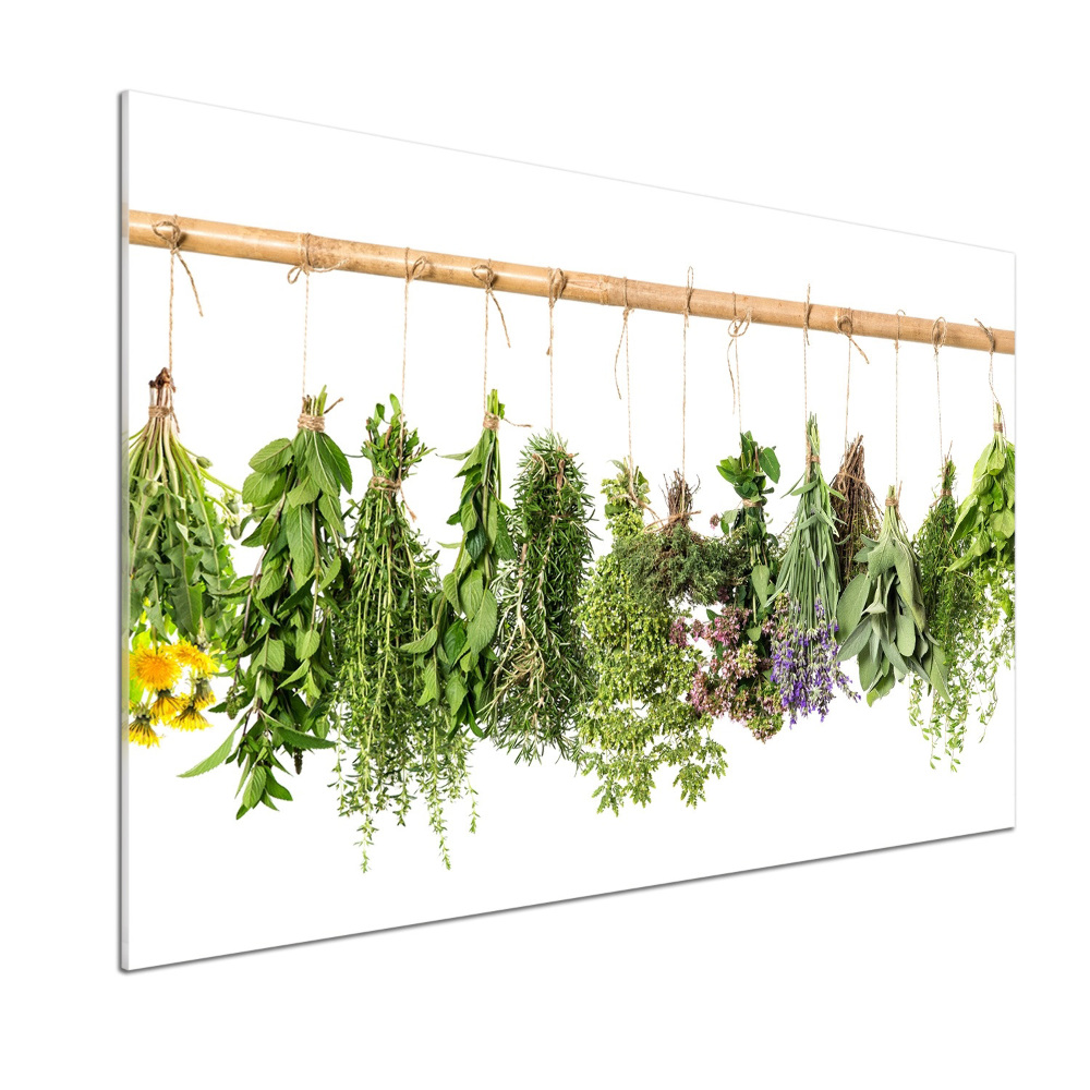 Cooker splashback Herbs on a string