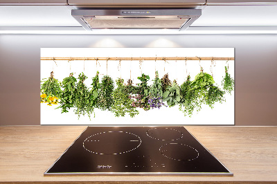 Cooker splashback Herbs on a string