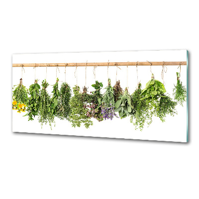 Cooker splashback Herbs on a string