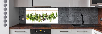 Cooker splashback Herbs on a string