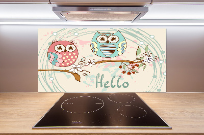 Glass splashback Owls