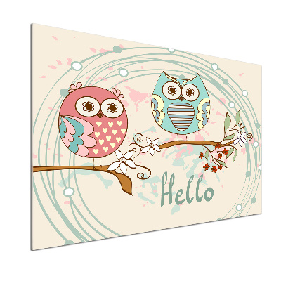 Glass splashback Owls