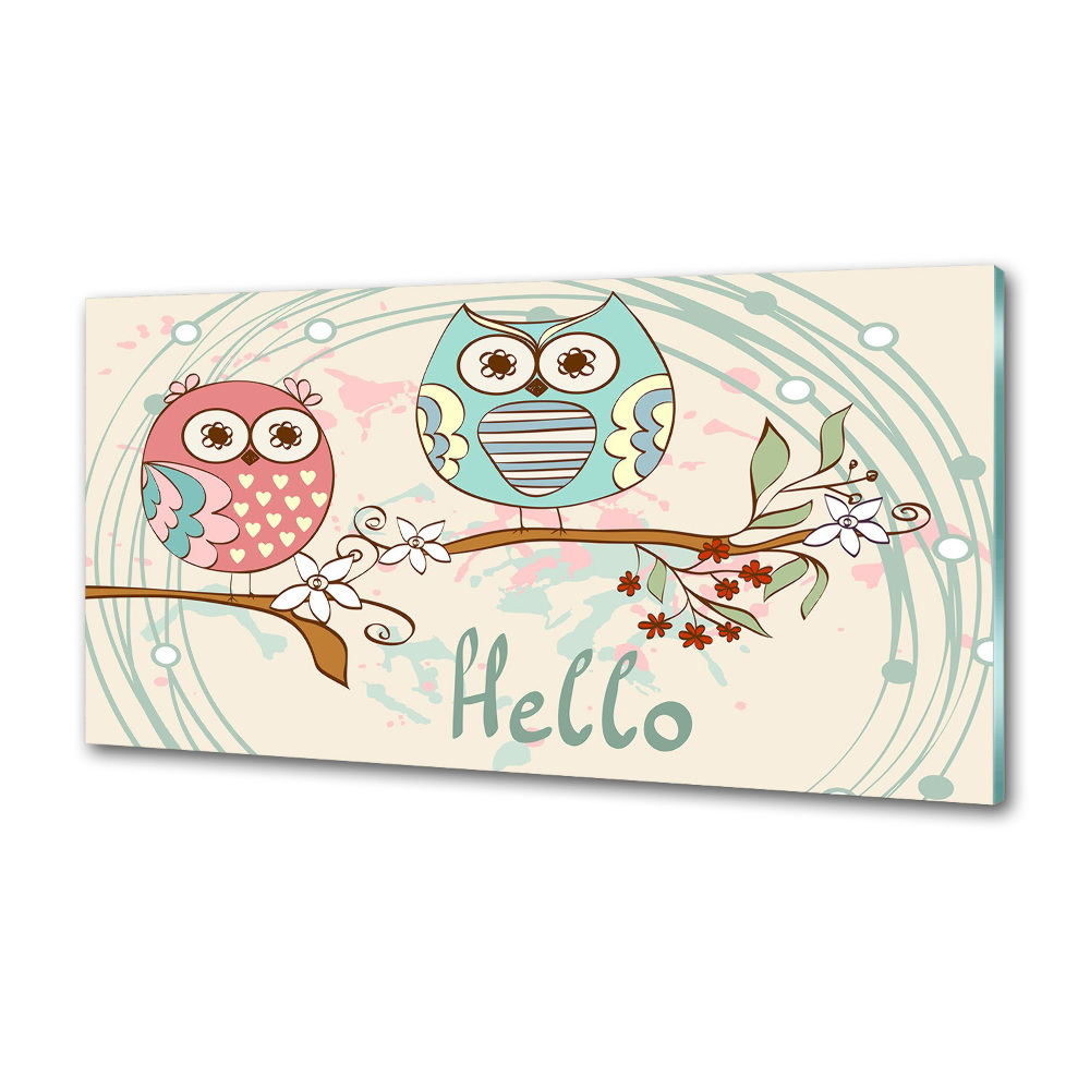 Glass splashback Owls