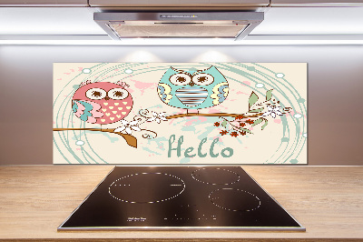 Glass splashback Owls