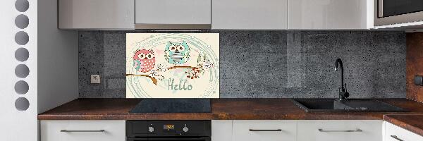 Glass splashback Owls