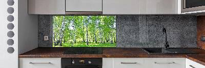 Kitchen wall panels Birch