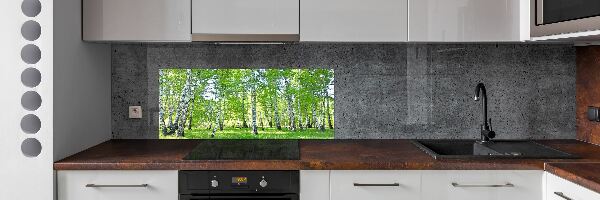 Kitchen wall panels Birch