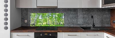 Kitchen wall panels Birch