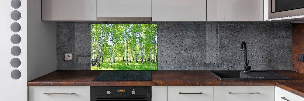 Kitchen wall panels Birch