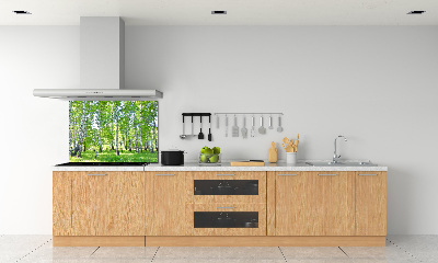 Kitchen wall panels Birch