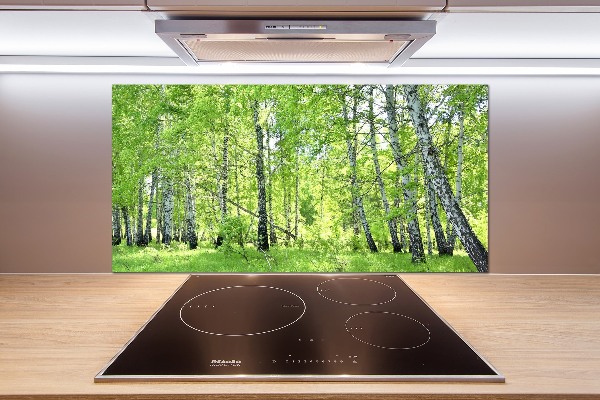 Kitchen splashback Birch forest