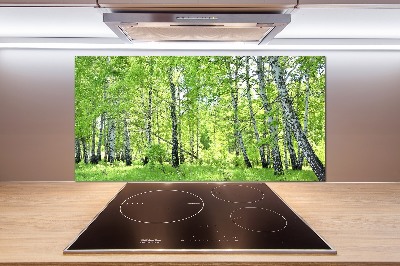 Kitchen splashback Birch forest