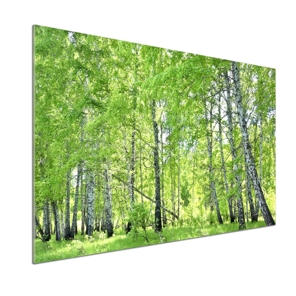 Kitchen splashback Birch forest