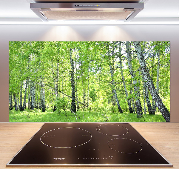 Kitchen splashback Birch forest