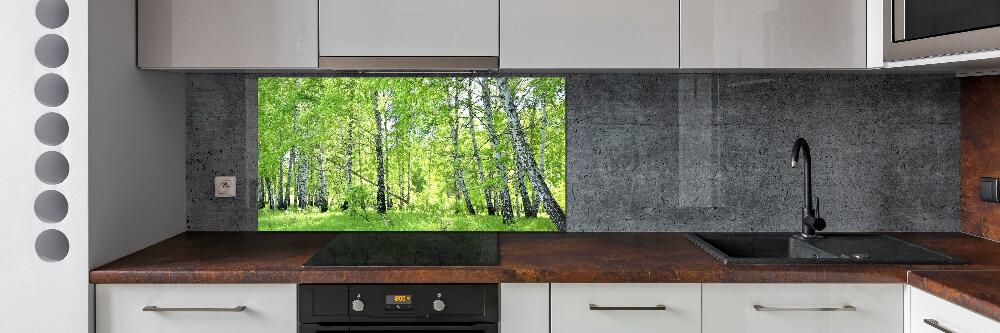 Kitchen splashback Birch forest