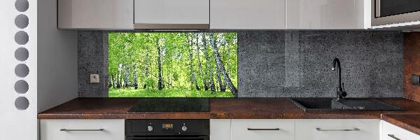 Kitchen splashback Birch forest