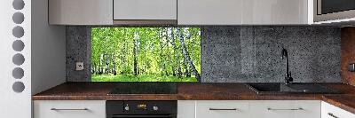 Kitchen splashback Birch forest