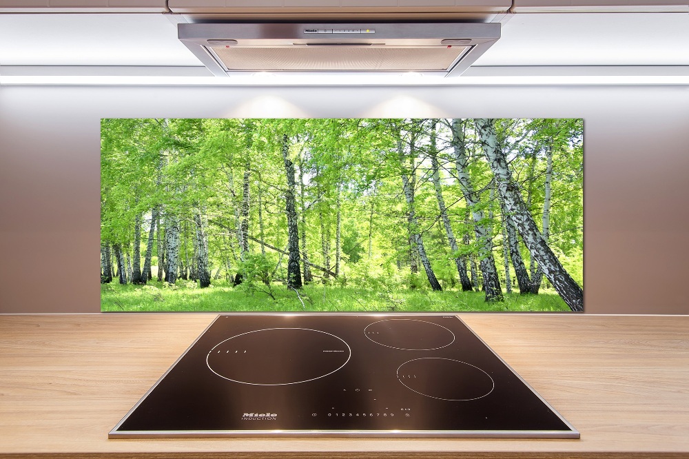 Kitchen splashback Birch forest